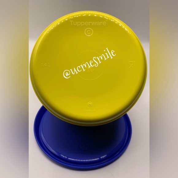 Tupperware Alebrije Fantasy Paint Designs One Touch Canister Set - Picture 5 of 8